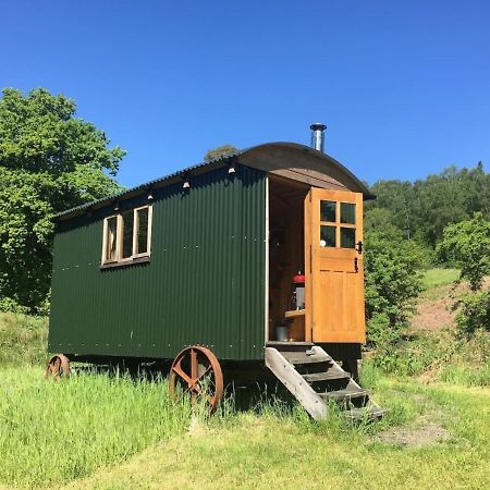 Cosy Woodland Off Grid Shepherds Hut - Rowan Villa Castle Douglas Exterior foto
