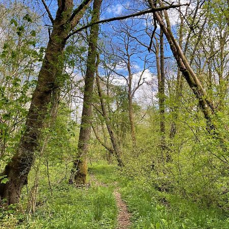Cosy Woodland Off Grid Shepherds Hut - Rowan Villa Castle Douglas Exterior foto