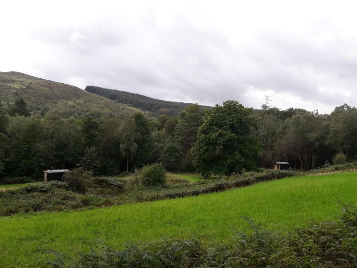 Cosy Woodland Off Grid Shepherds Hut - Rowan Villa Castle Douglas Exterior foto