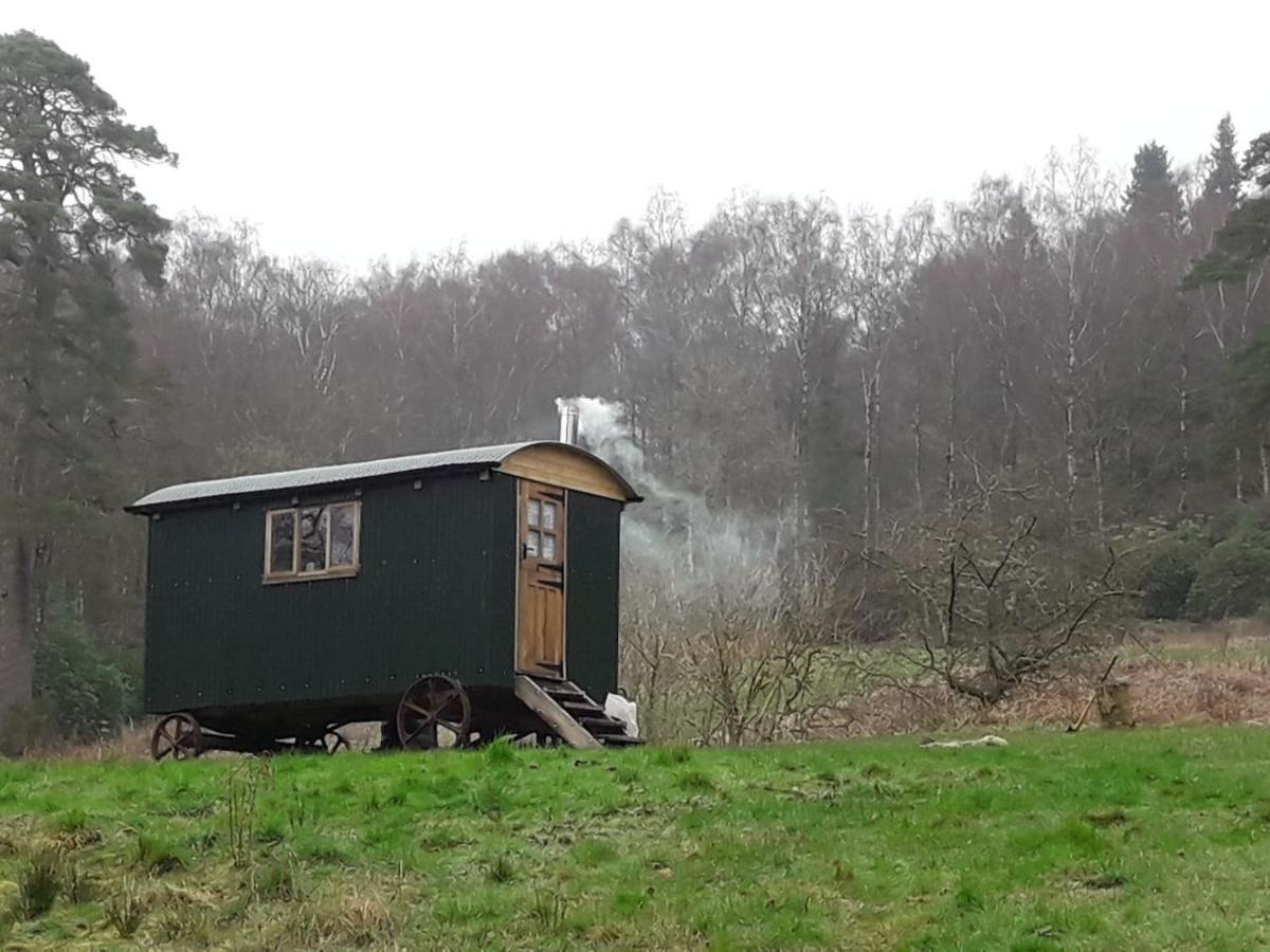 Cosy Woodland Off Grid Shepherds Hut - Rowan Villa Castle Douglas Exterior foto