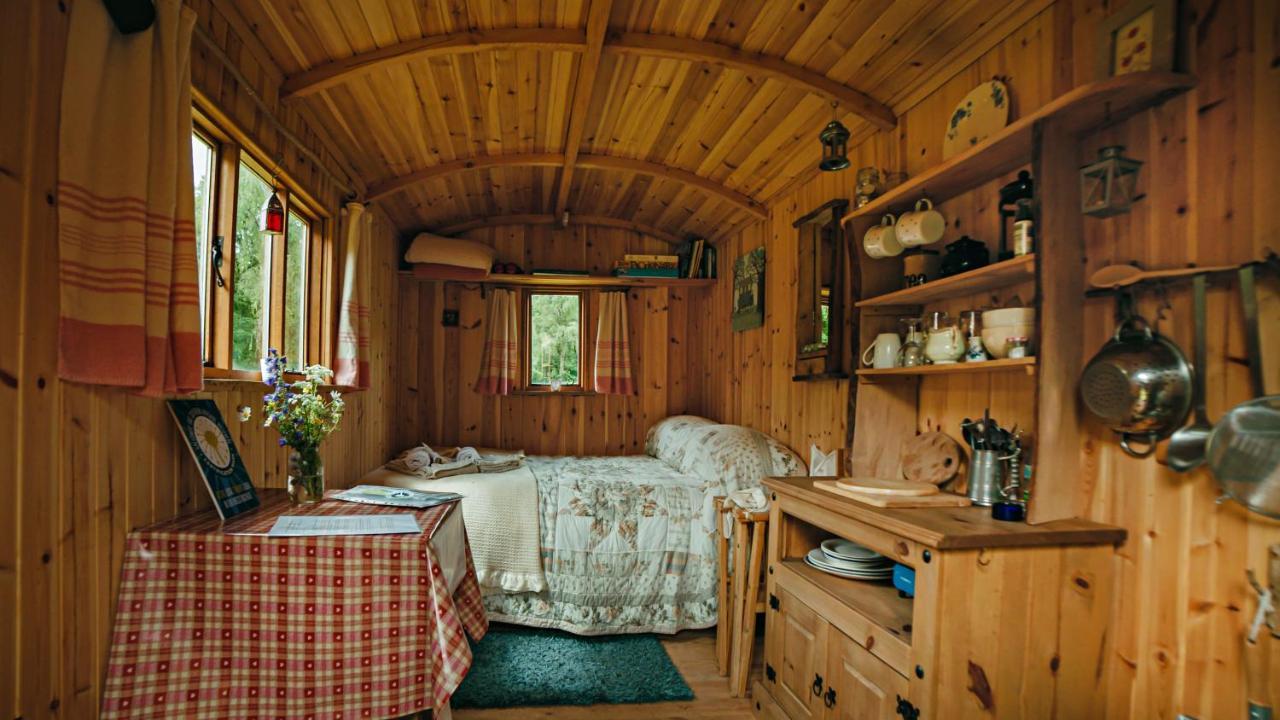 Cosy Woodland Off Grid Shepherds Hut - Rowan Villa Castle Douglas Exterior foto