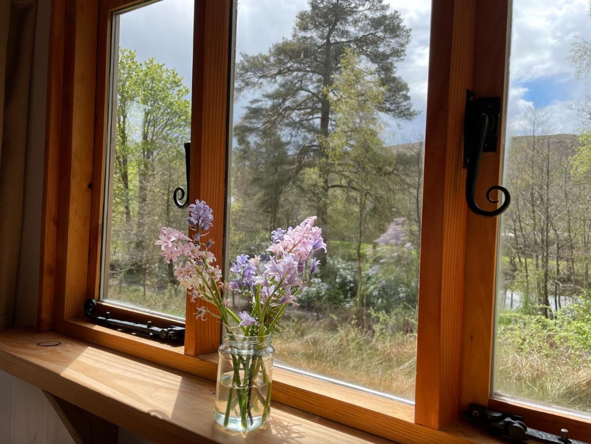 Cosy Woodland Off Grid Shepherds Hut - Rowan Villa Castle Douglas Exterior foto