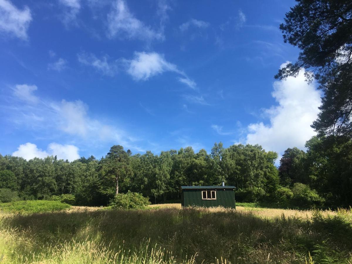 Cosy Woodland Off Grid Shepherds Hut - Rowan Villa Castle Douglas Exterior foto